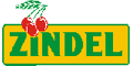 zindel